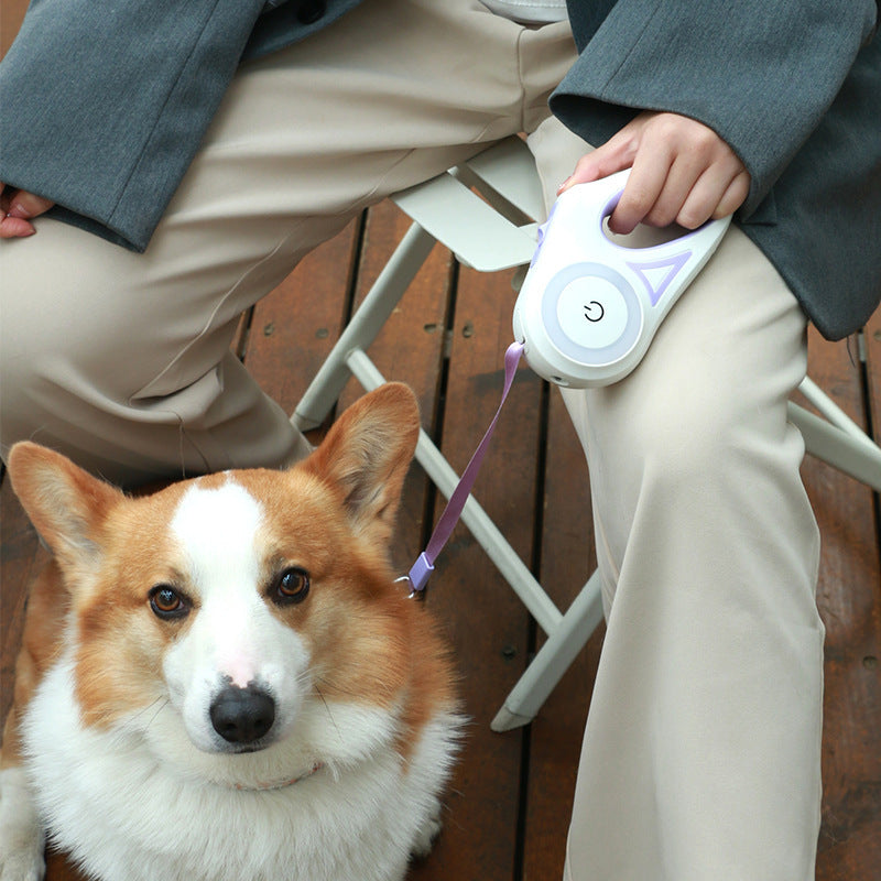Amazing Dog Leash With Built-in Spotlight For Extra Safety